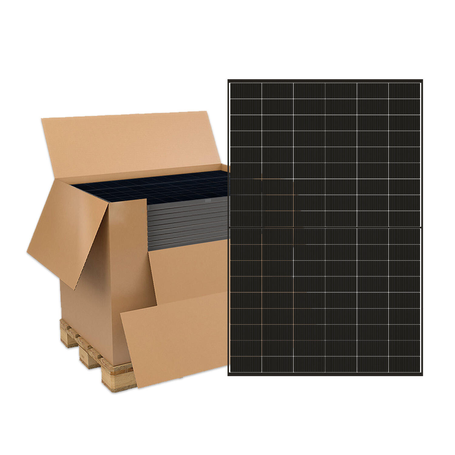 DMEGC 455W - DM455M10RT-B54HBT-L Palete completa