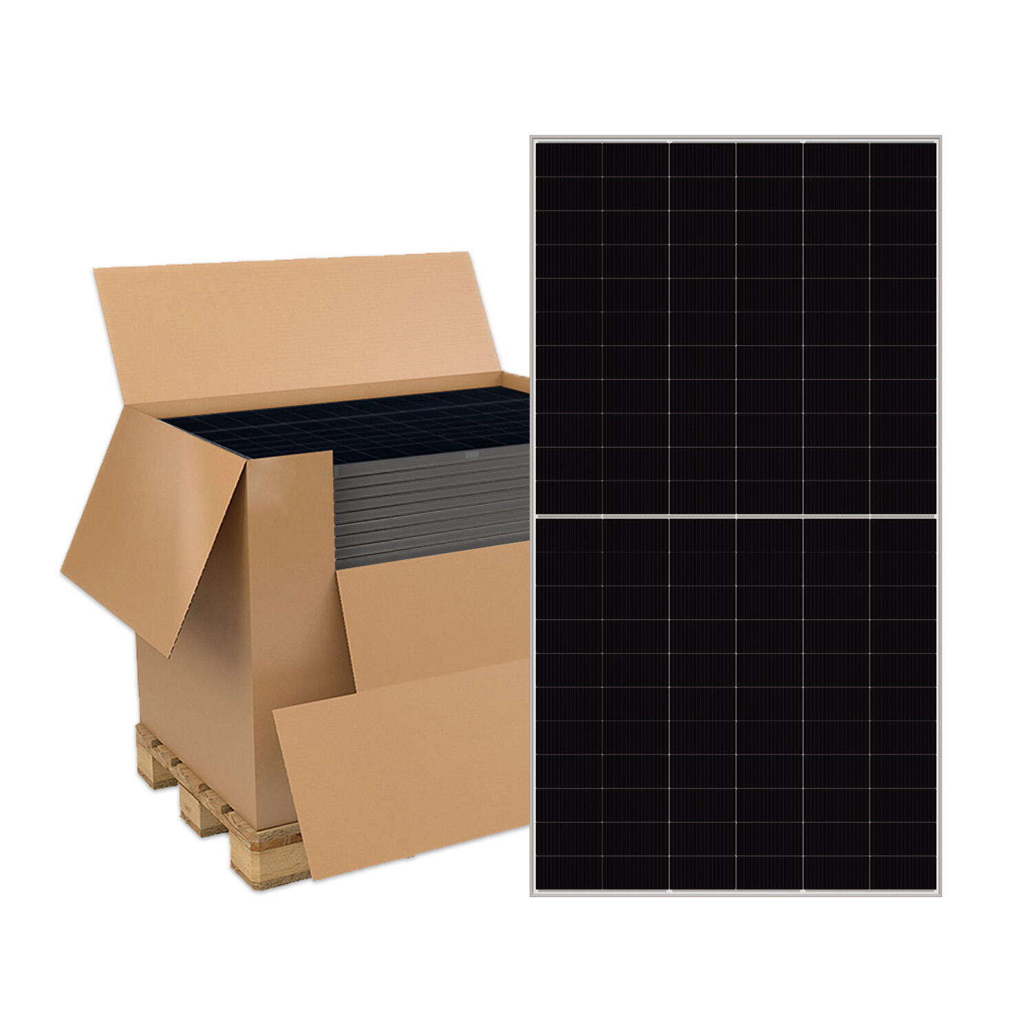 DMEGC 630W - DM630G12RT Palete completa - Paletes Completas | Solarshop