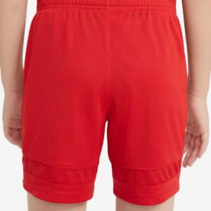 Calções Nike Dri-FIT Academy