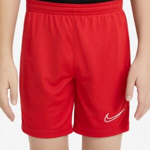 Calções Nike Dri-FIT Academy