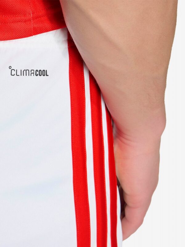 Calções Adidas Equipamento Principal S. L. Benfica EP26/27